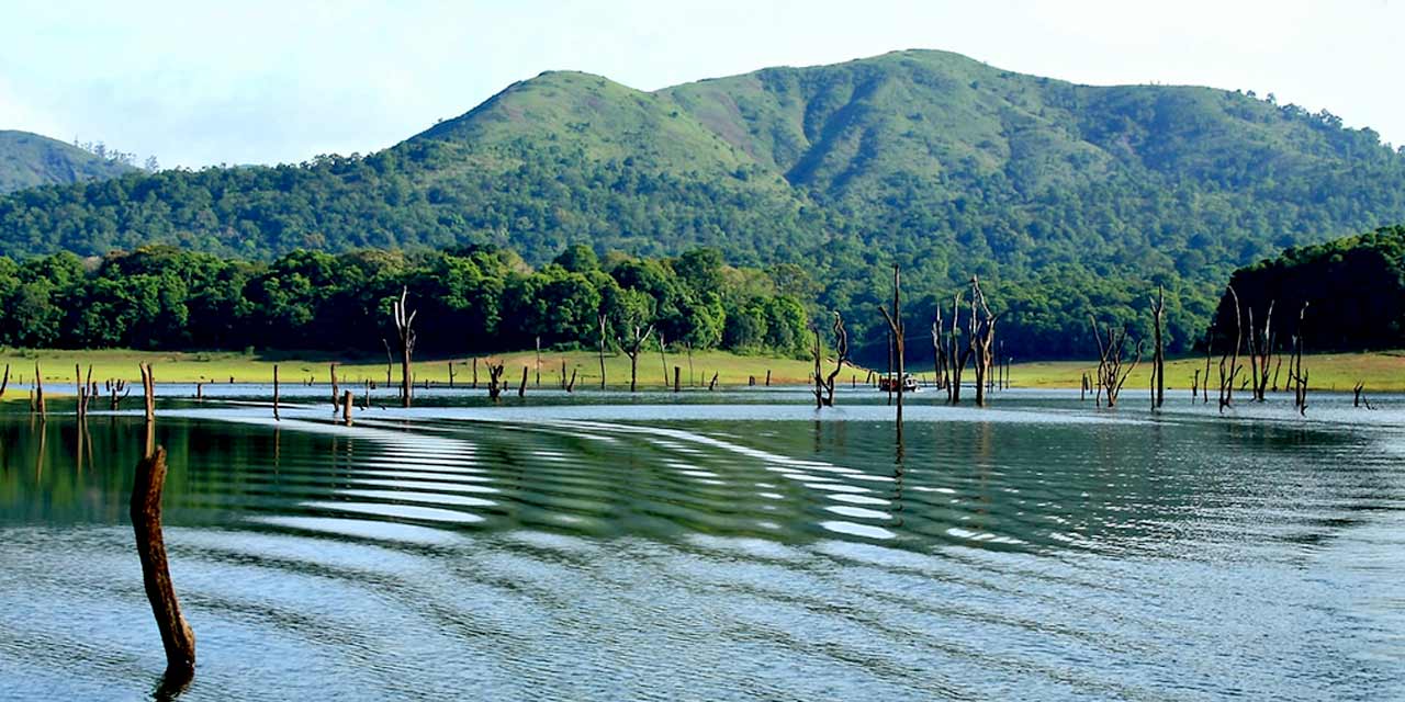 Thekkady Tour Package | Thekkady Trip Plan | Sightseeing Tour