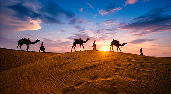 Jaisalmer tour and travels