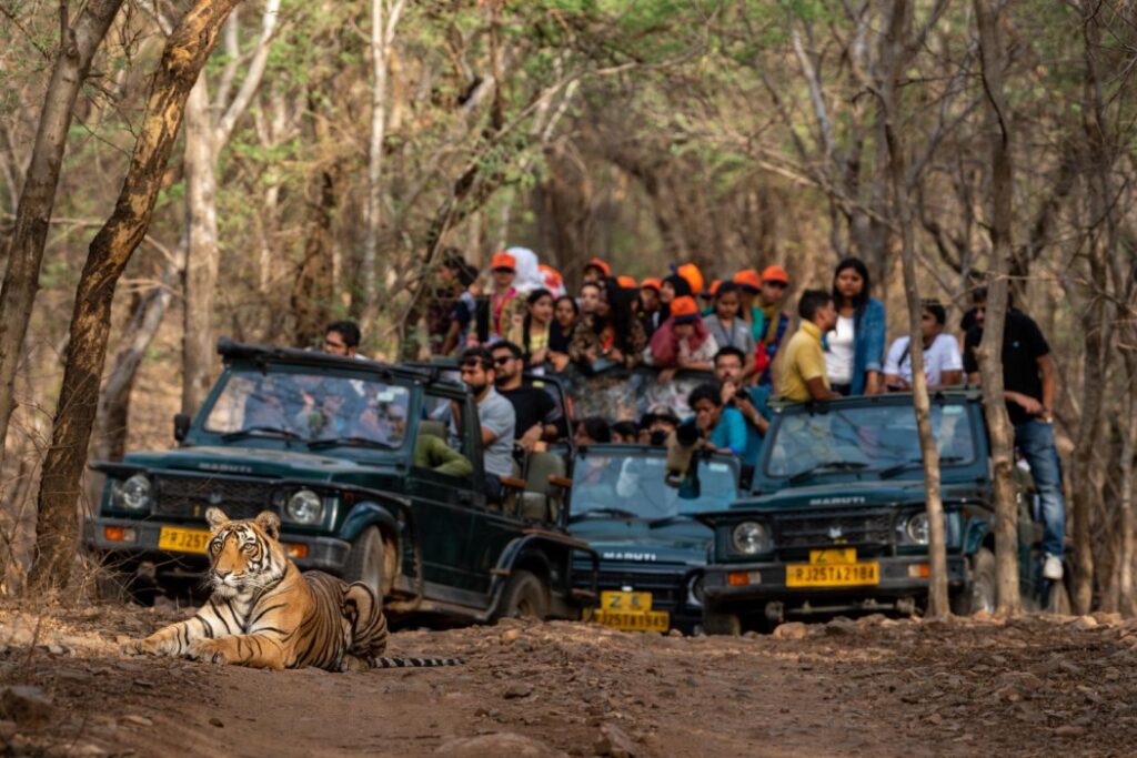 Ranthambore National Park