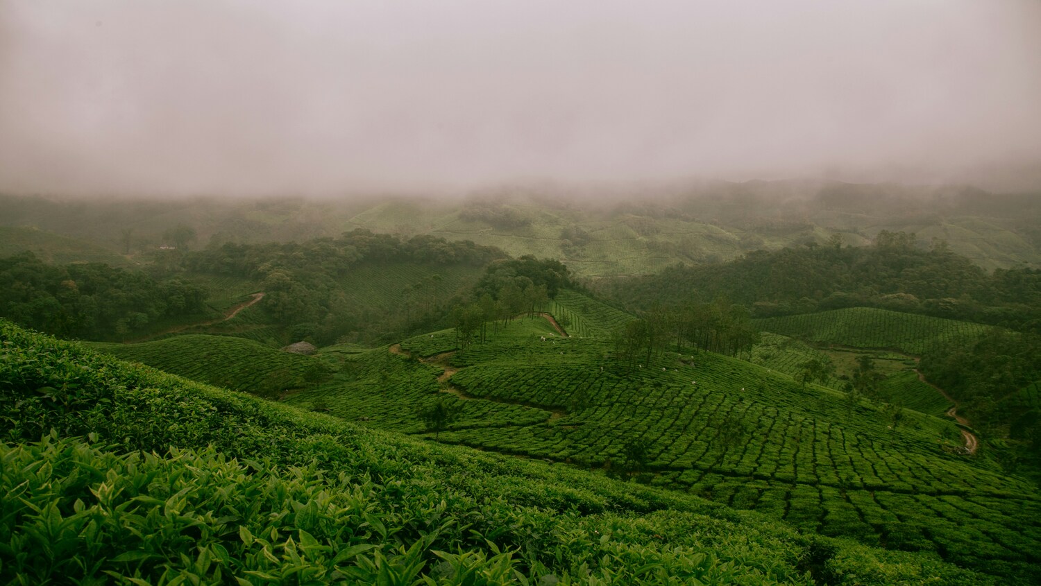 North East India