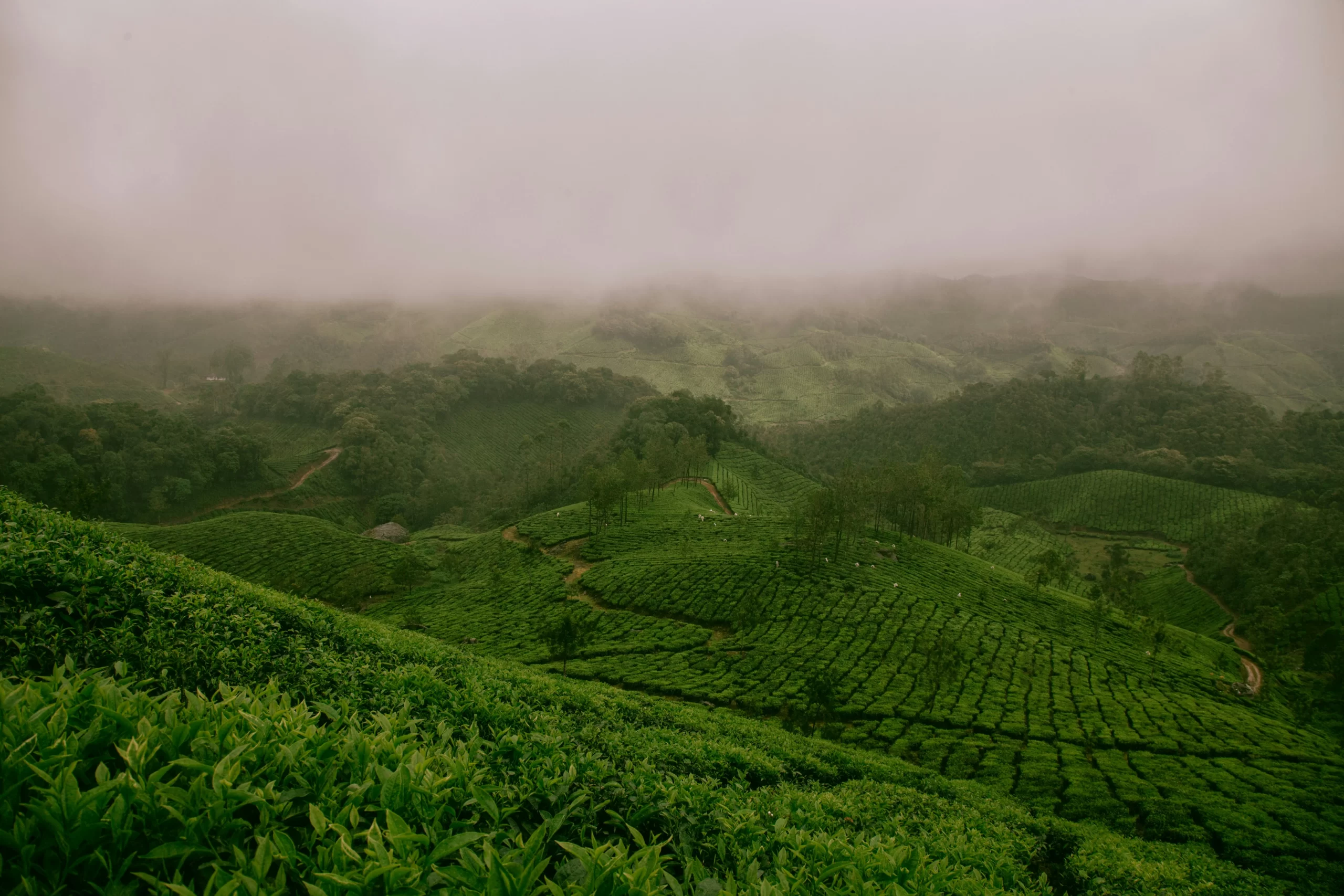 North East India