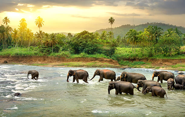 sri lanka tourist places