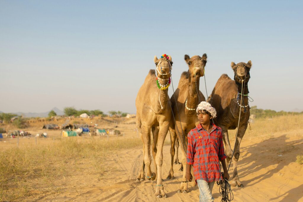 Top Pushkar Tourist Places