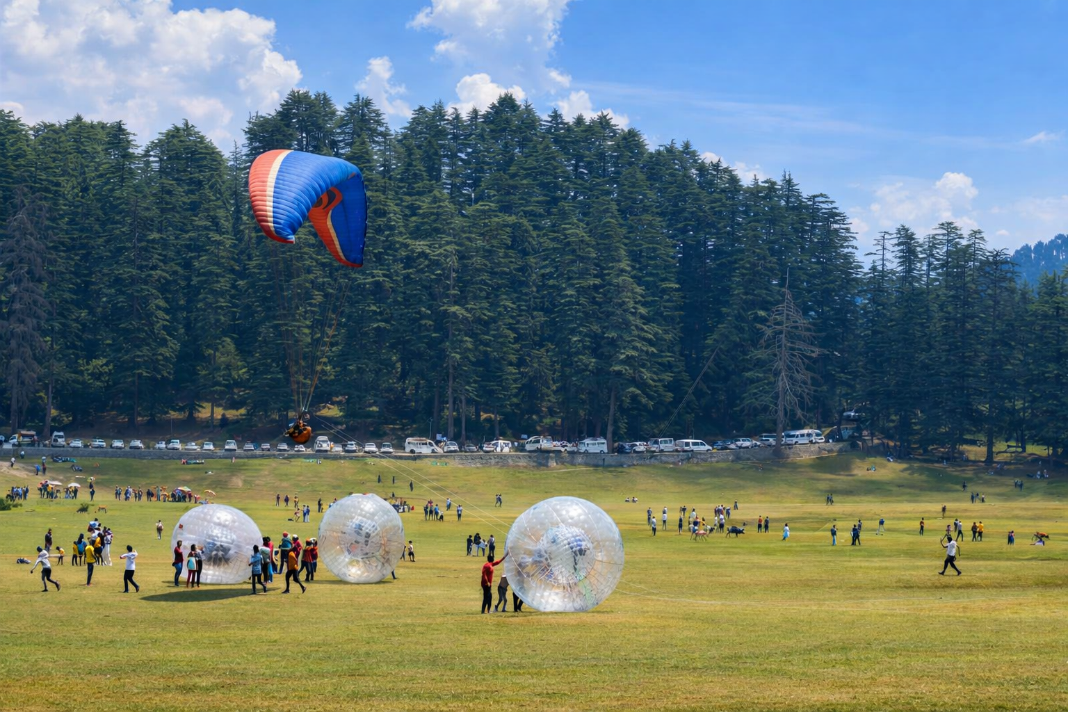 Dalhousie tour planning
